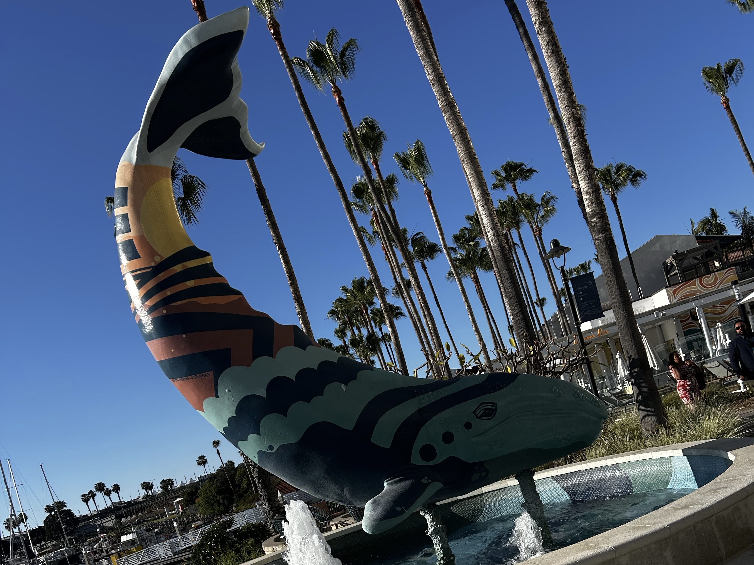 Day 81: Colossians 3:2